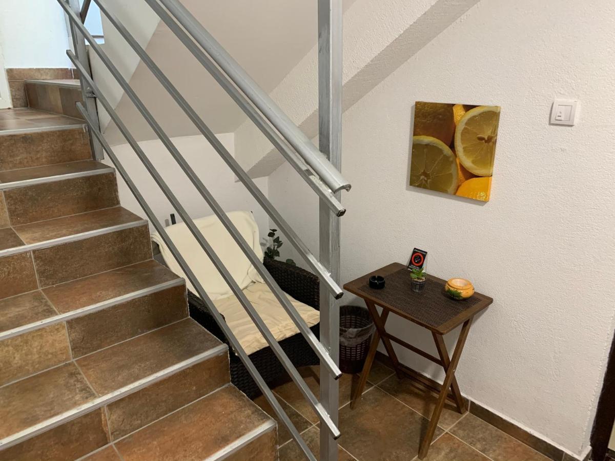 A6 Apartment Novi Sad Eksteriør billede